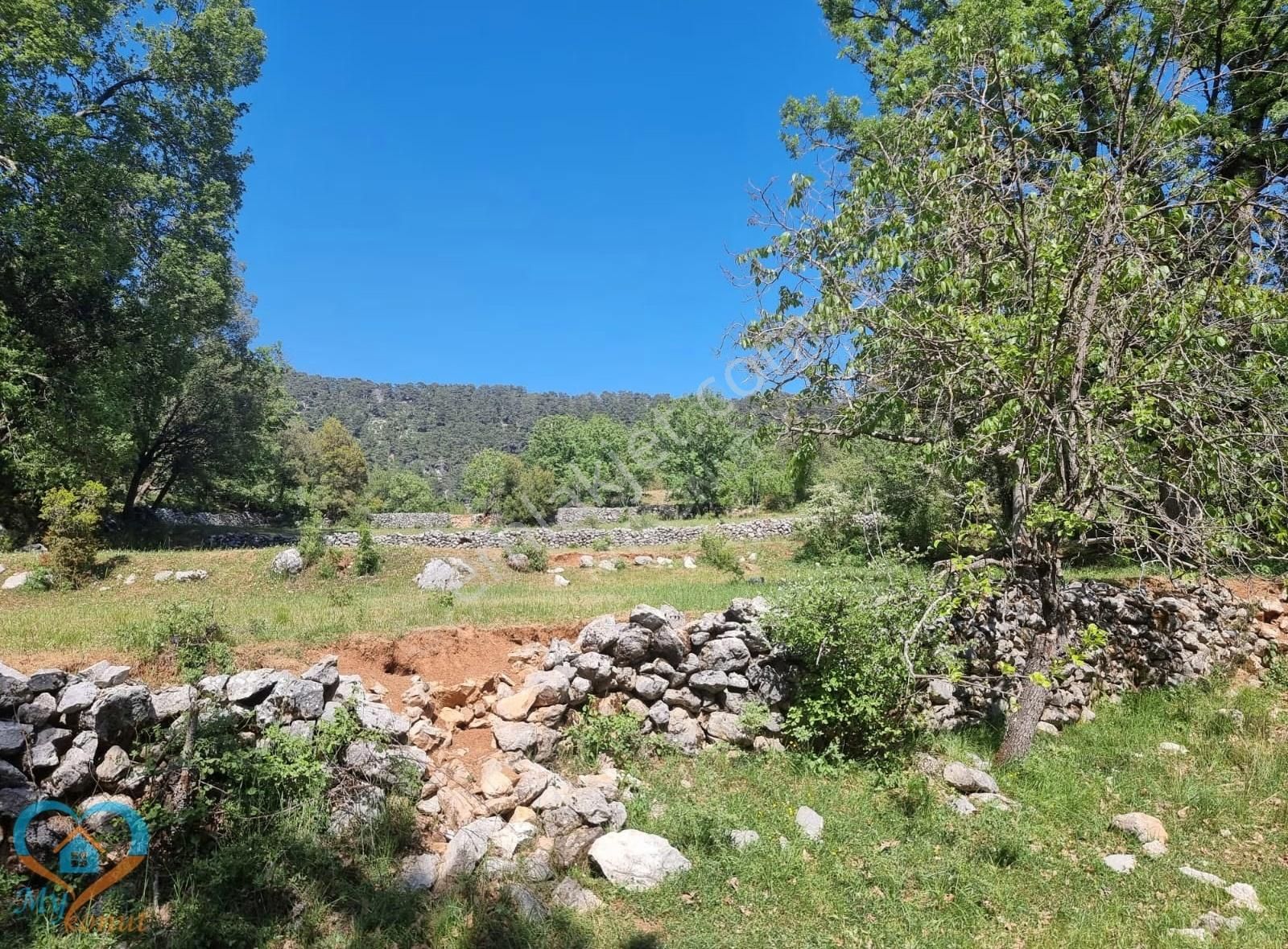 Mykonut'tan Nif 'te 5.783 M2. Köyiçi İmarlı Satılık Tarla - Görsel 18