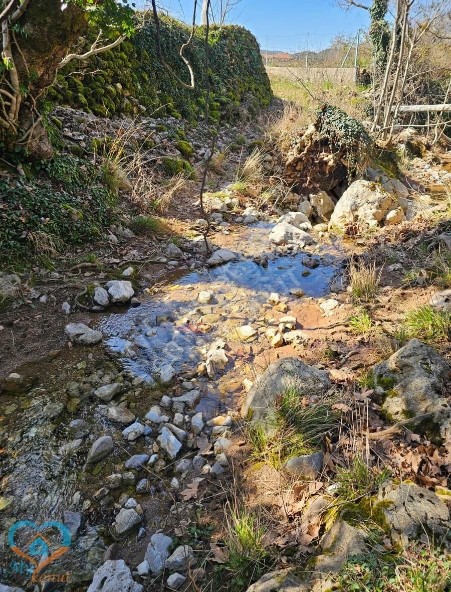 Mykonut'tan Nif 'te 5.783 M2. Köyiçi İmarlı Satılık Tarla - Görsel 3