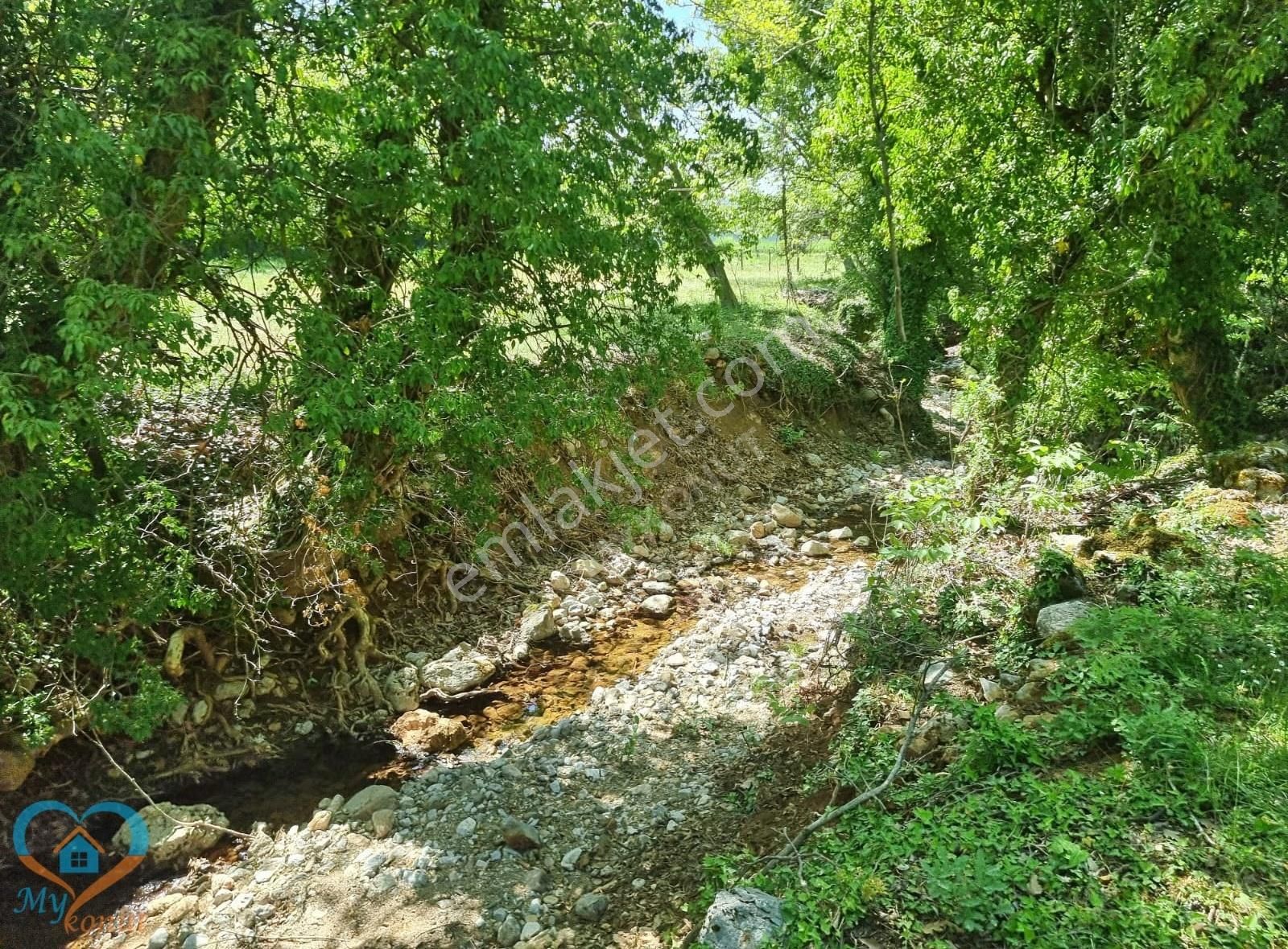 Mykonut'tan Nif 'te 5.783 M2. Köyiçi İmarlı Satılık Tarla - Görsel 6