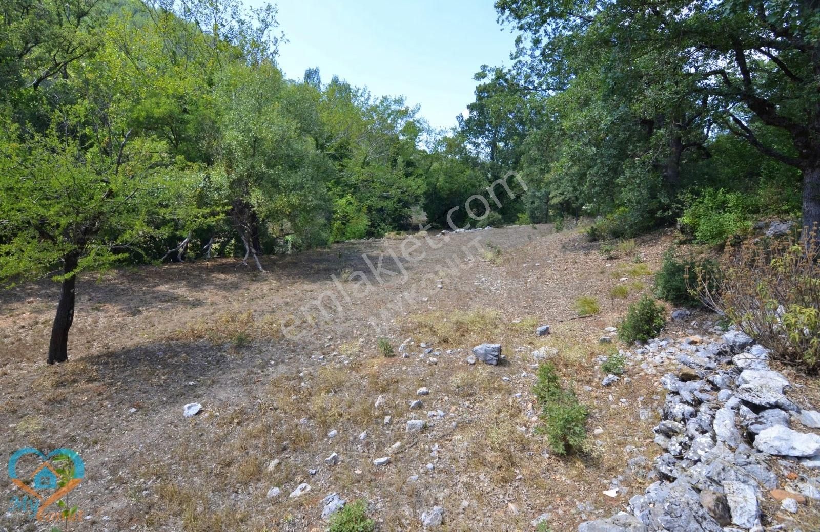 Mykonut'tan Nif 'te 5.783 M2. Köyiçi İmarlı Satılık Tarla - Görsel 8