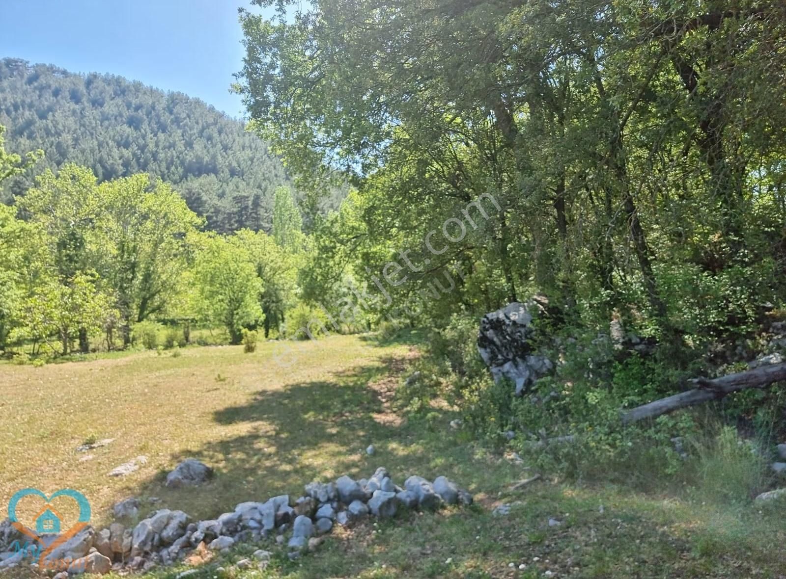 Mykonut'tan Nif 'te 5.783 M2. Köyiçi İmarlı Satılık Tarla - Görsel 13