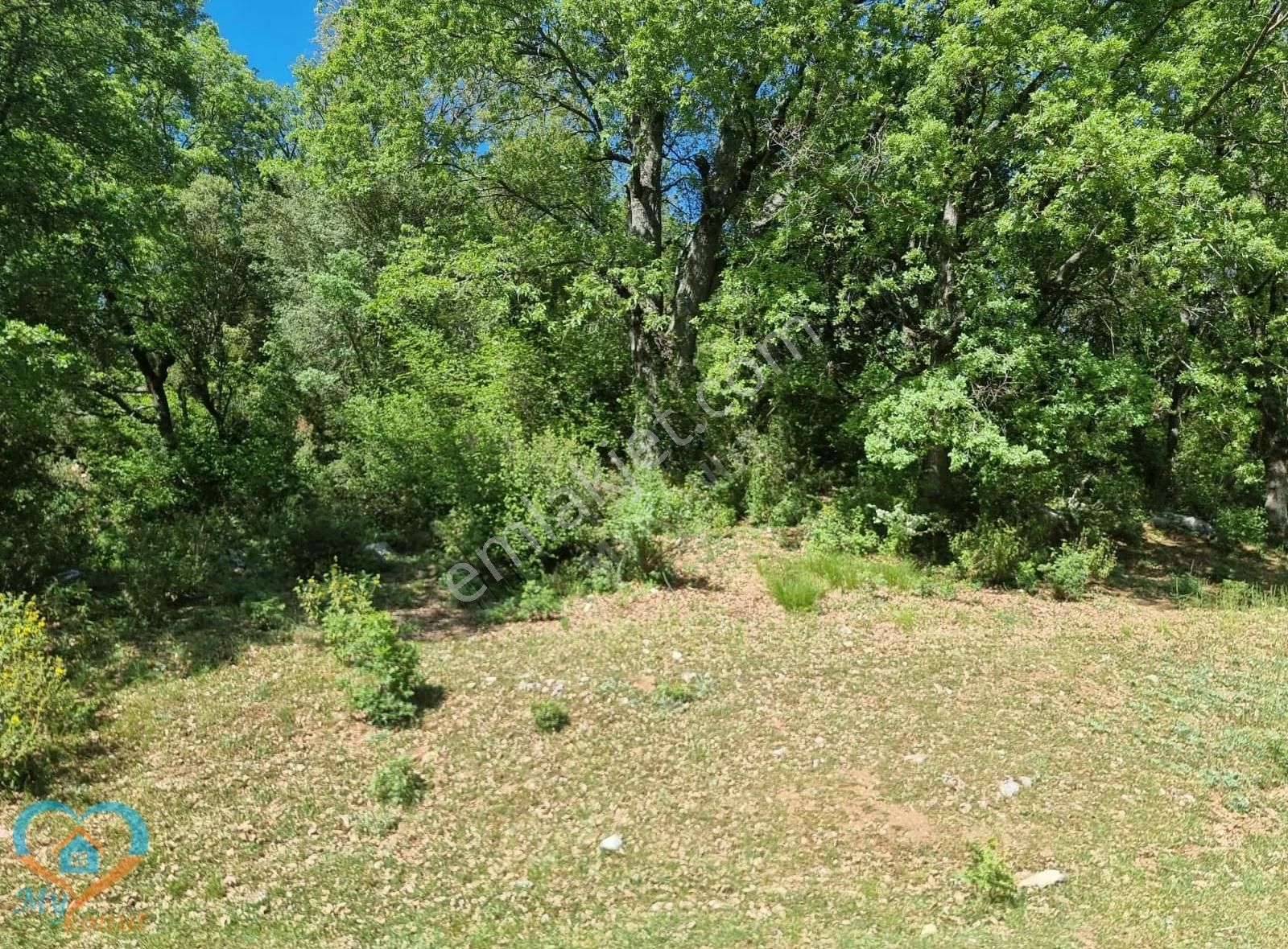 Mykonut'tan Nif 'te 5.783 M2. Köyiçi İmarlı Satılık Tarla - Görsel 17