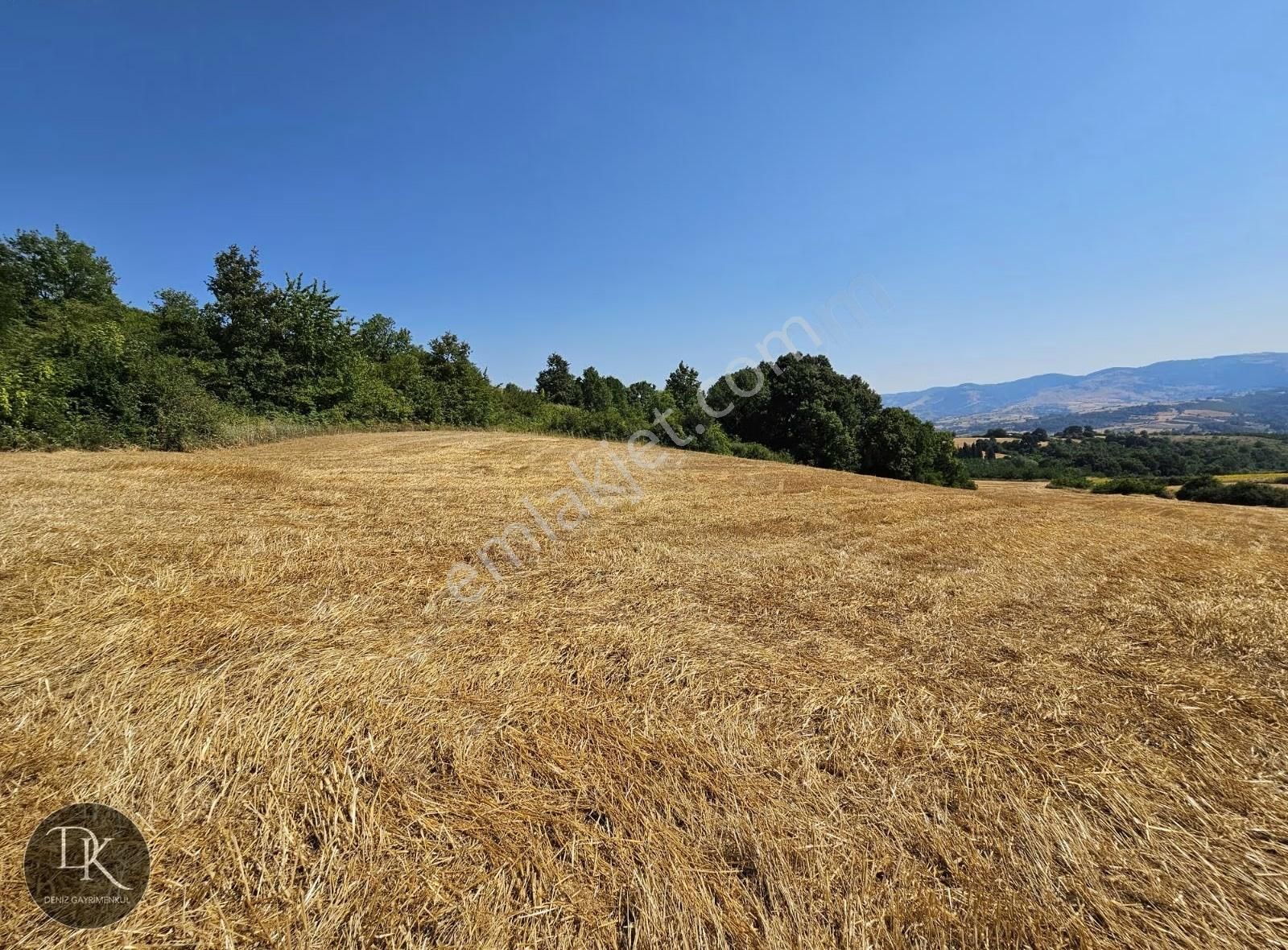 Deniz G.m.den Karamürsel Yalakdere De Satılık 12.533 M² Arazi - Görsel 10