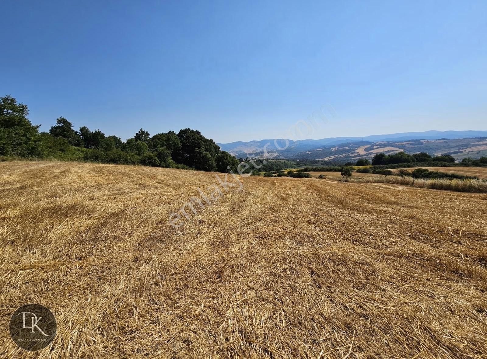 Deniz G.m.den Karamürsel Yalakdere De Satılık 12.533 M² Arazi - Görsel 6