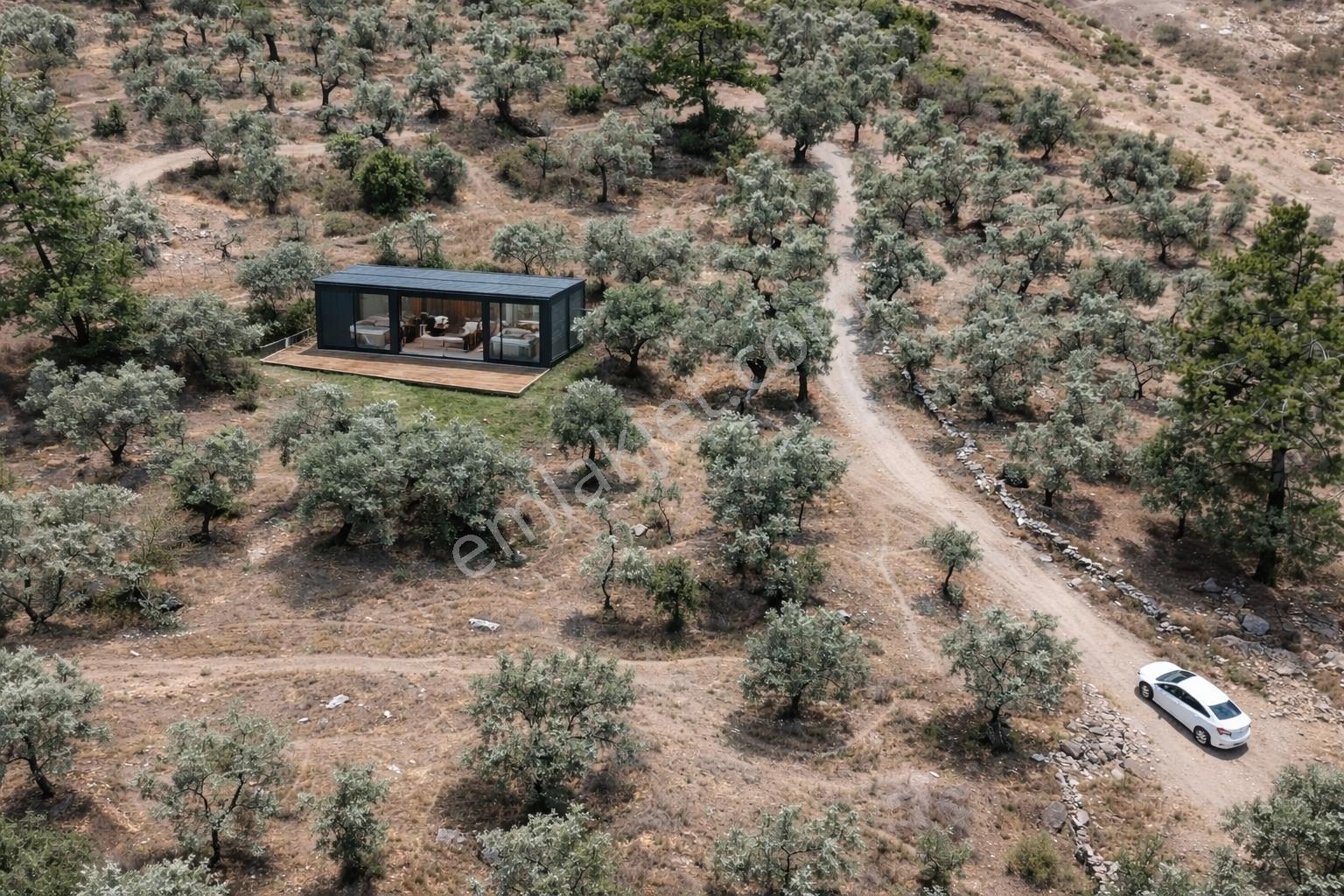 Milas Karşıyaka 462 M² Satılık Zeytinlik - Görsel 10
