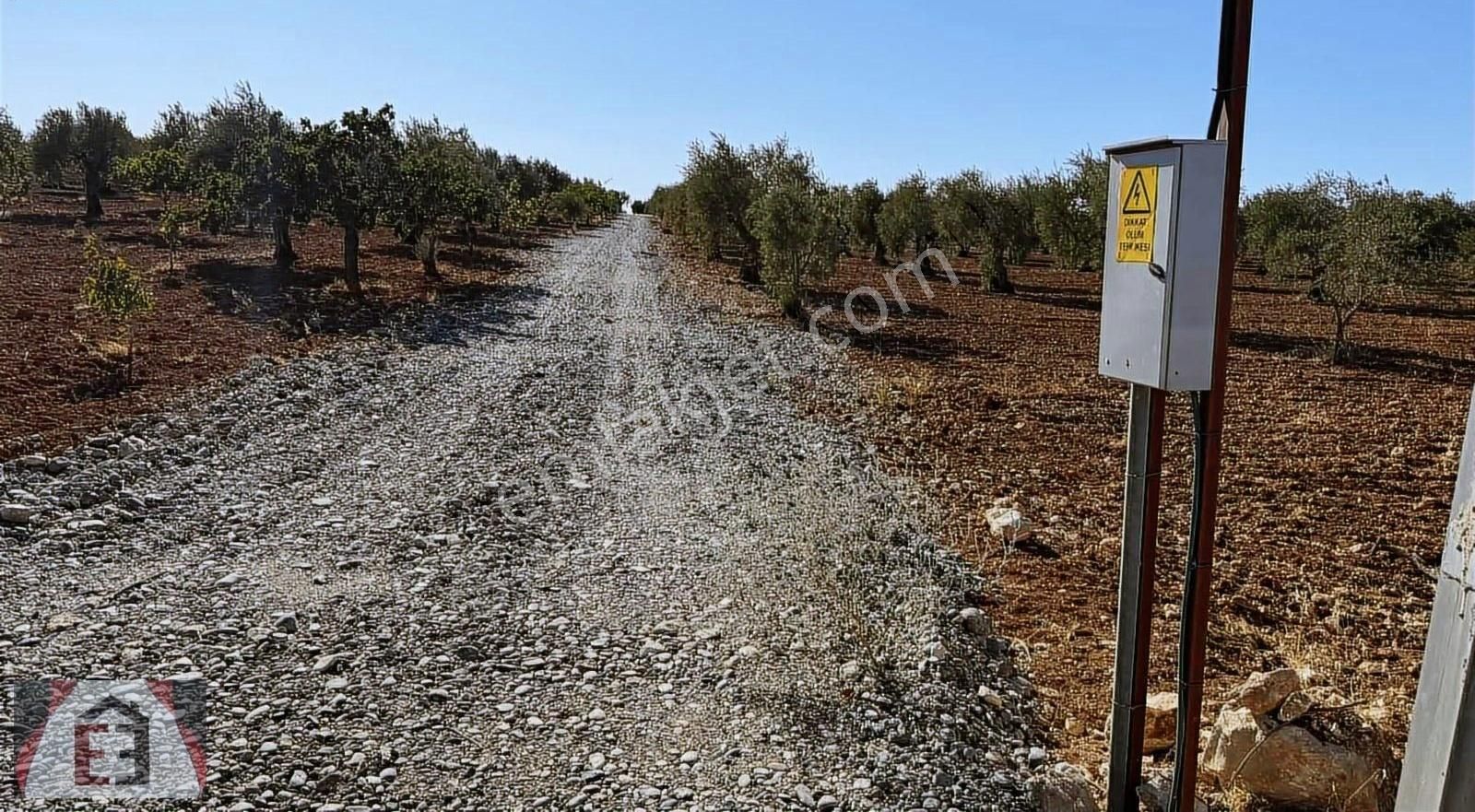Yol Su Elektrik Var Böyle Fırsat Yok - Görsel 3