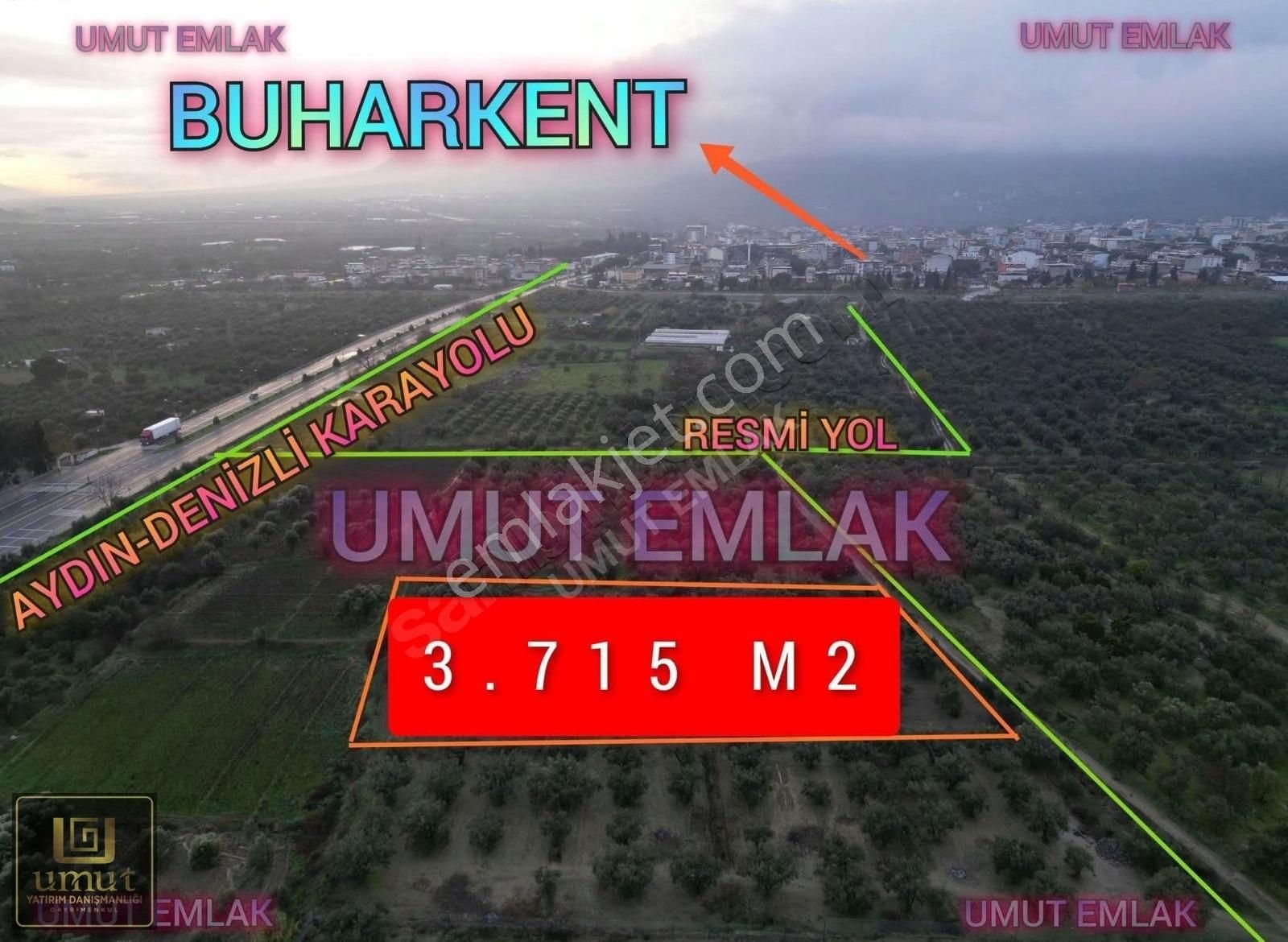 Umut Emlak'ta 3.715 M2 Zeytinlik - Görsel 2