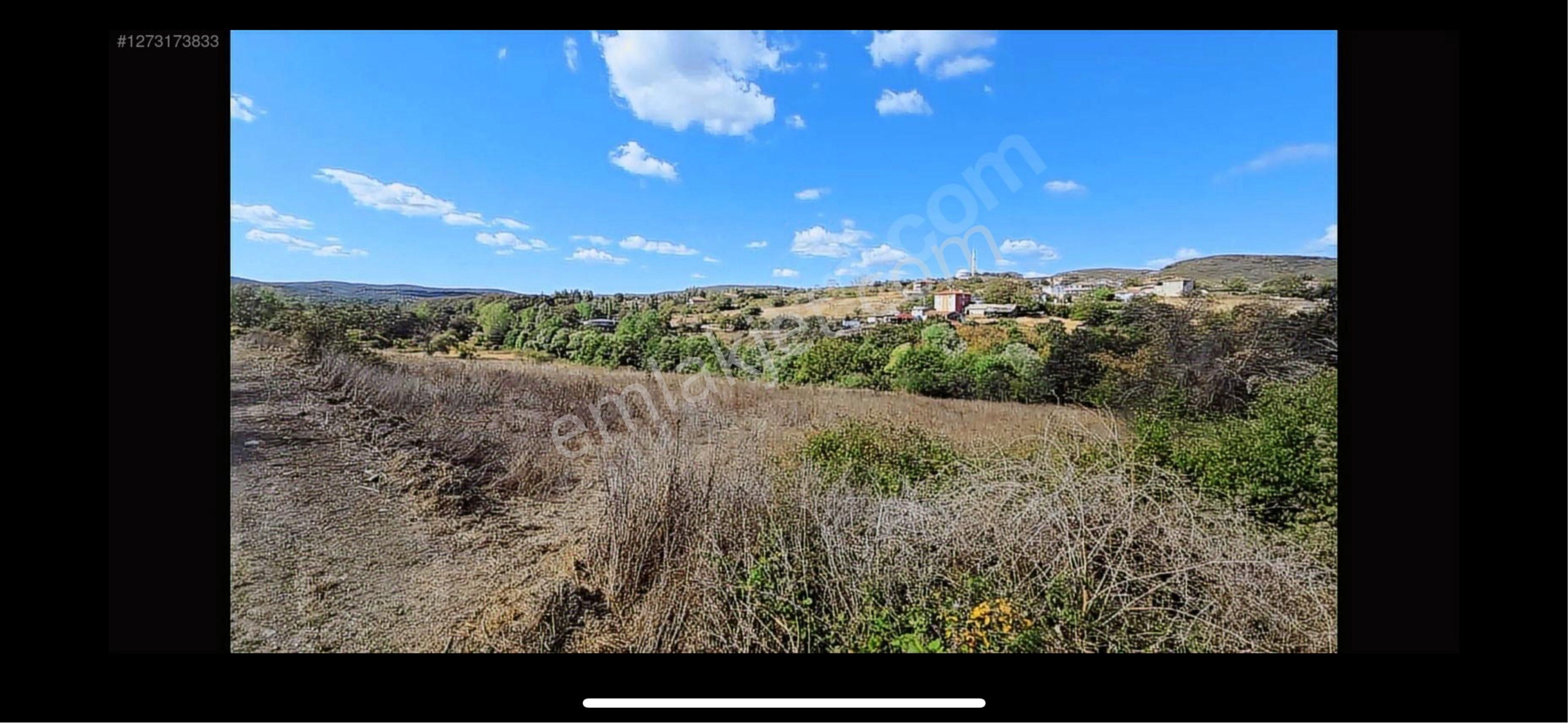 Çatalca Kalfaköy'de Satılık Tek Tapu Süper Arazi