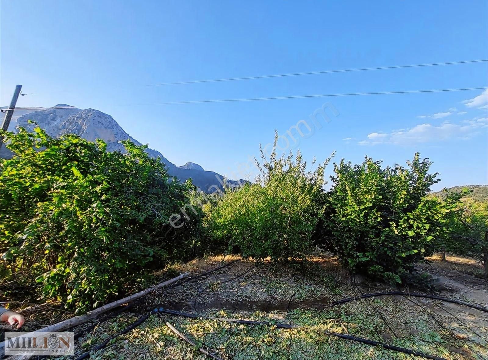 Konyaaltı Doyranda Satılık 5460m2 Tek Tapu Ev Ve Bahçe - Görsel 13