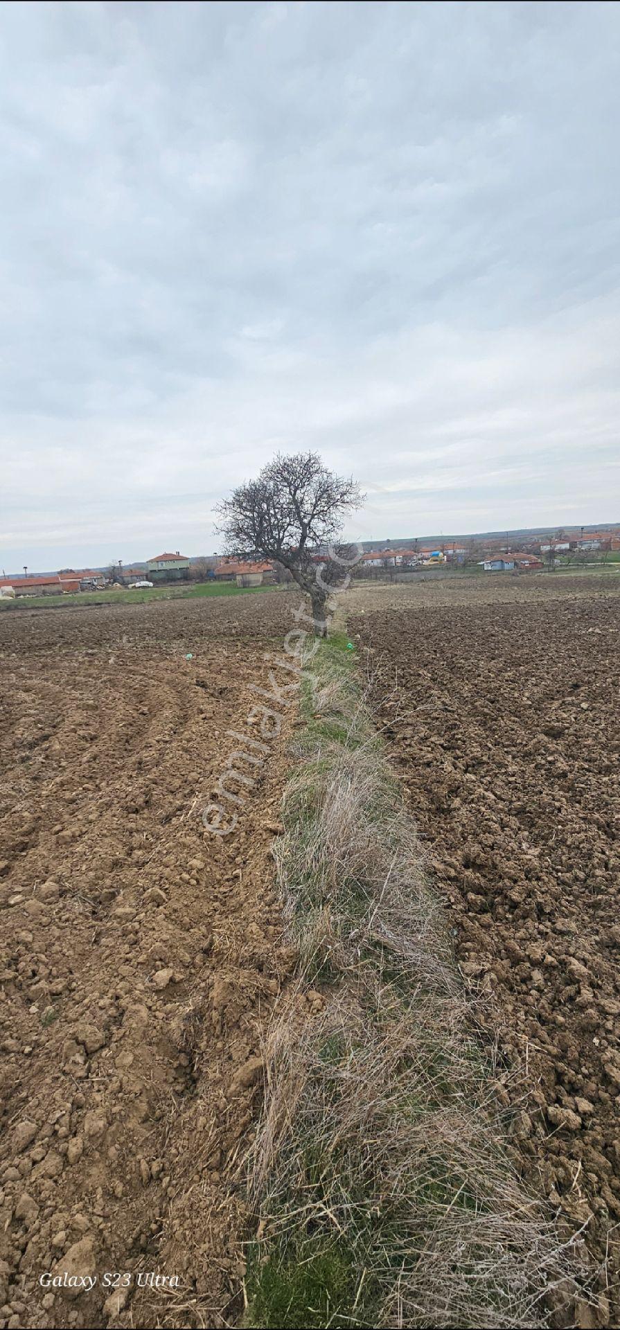 Edirne De Köyün Dibinde Satılık 652 Metre - Görsel 8