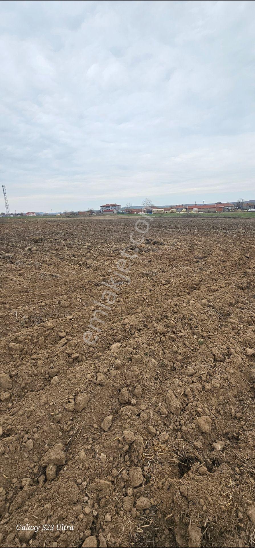 Edirne De Köyün Dibinde Satılık 652 Metre - Görsel 6