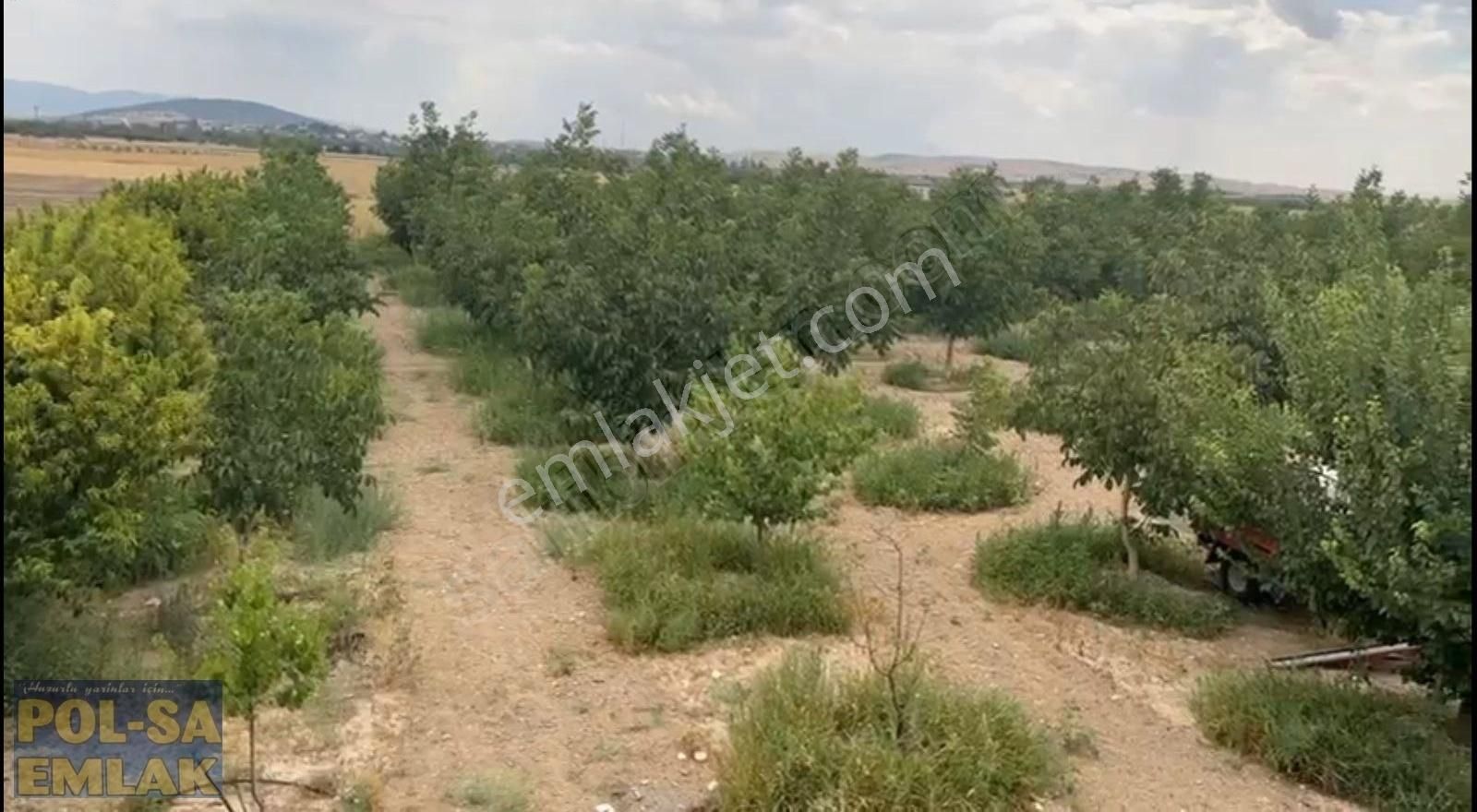 Korkuteli Yelten'de Satılık 5.024m2 Bahçe Kurulu Düzen - Görsel 5