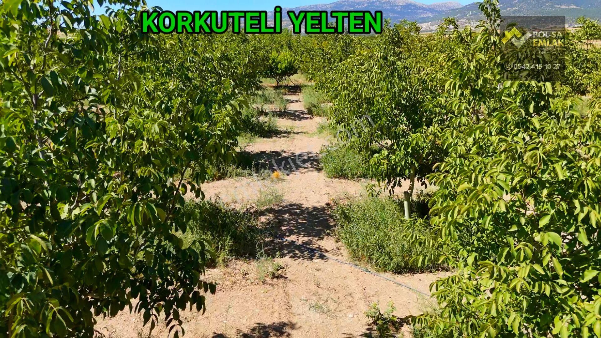 Korkuteli Yelten'de Satılık 5.024m2 Bahçe Kurulu Düzen - Görsel 21