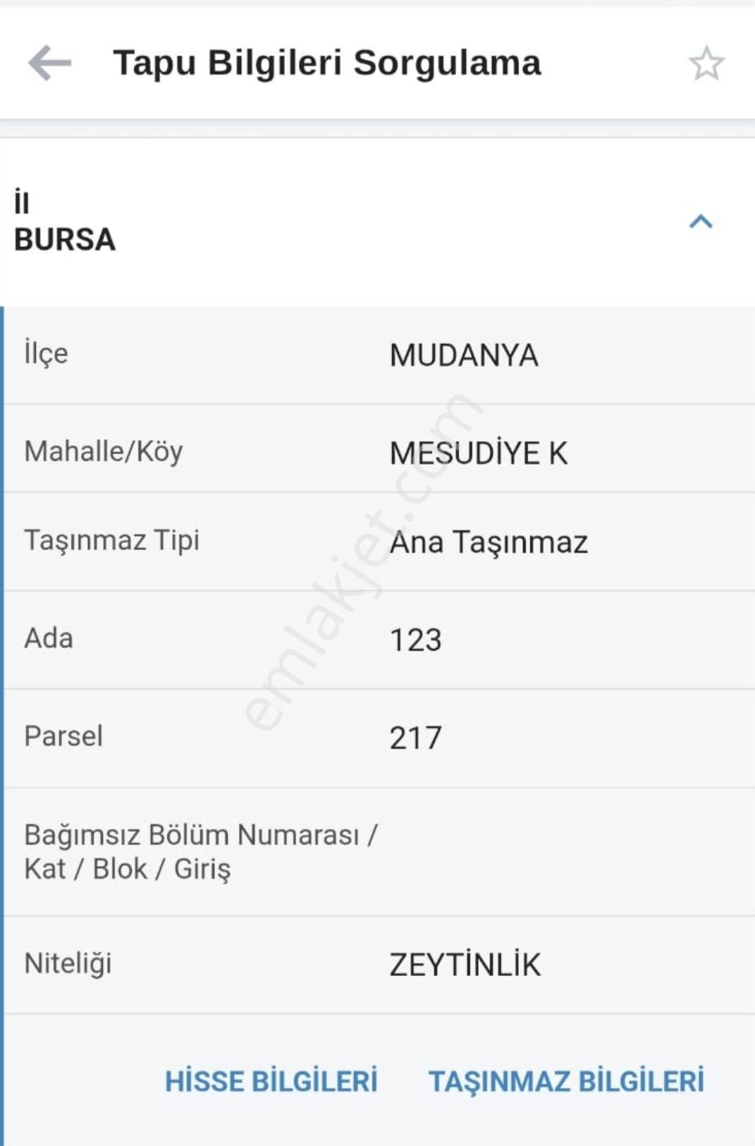 Resmi Tapulu - Görsel 2