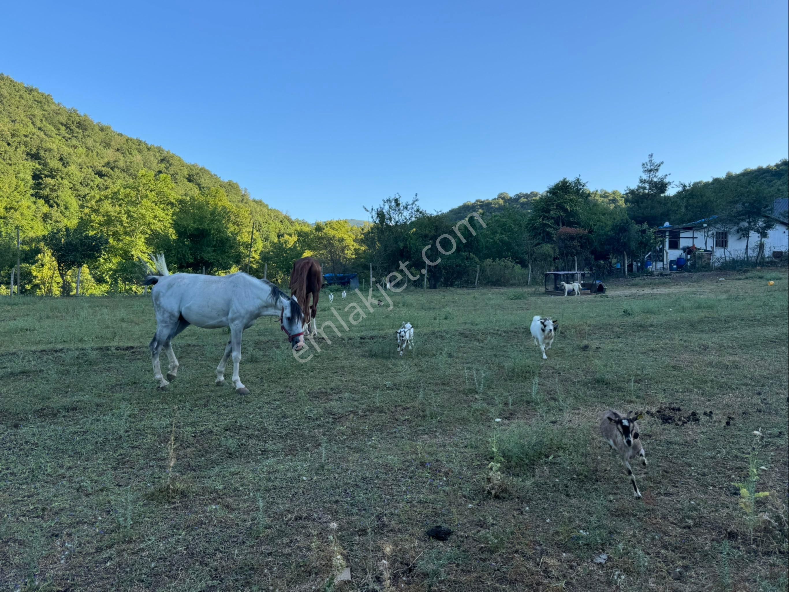 Atakum Çakırlar 3 Katlı Binalı Satılık Tarla - Görsel 3