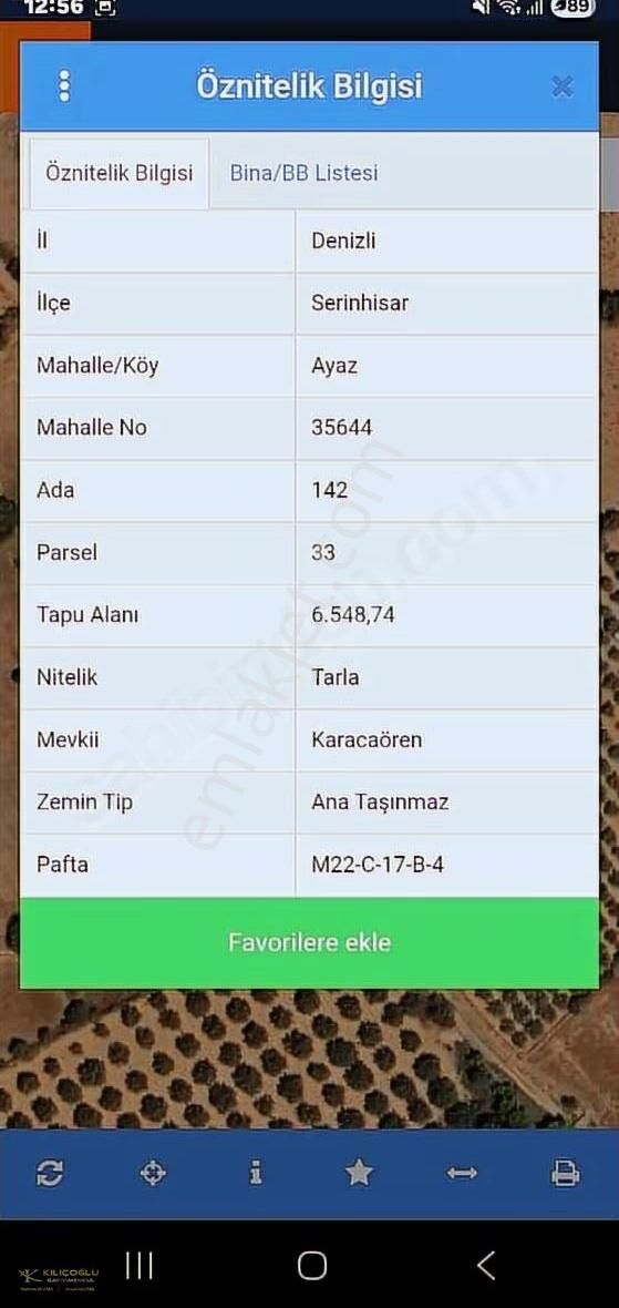 Serinhisar Ayaz Ovasında Fırsat Ceviz Bahçesi