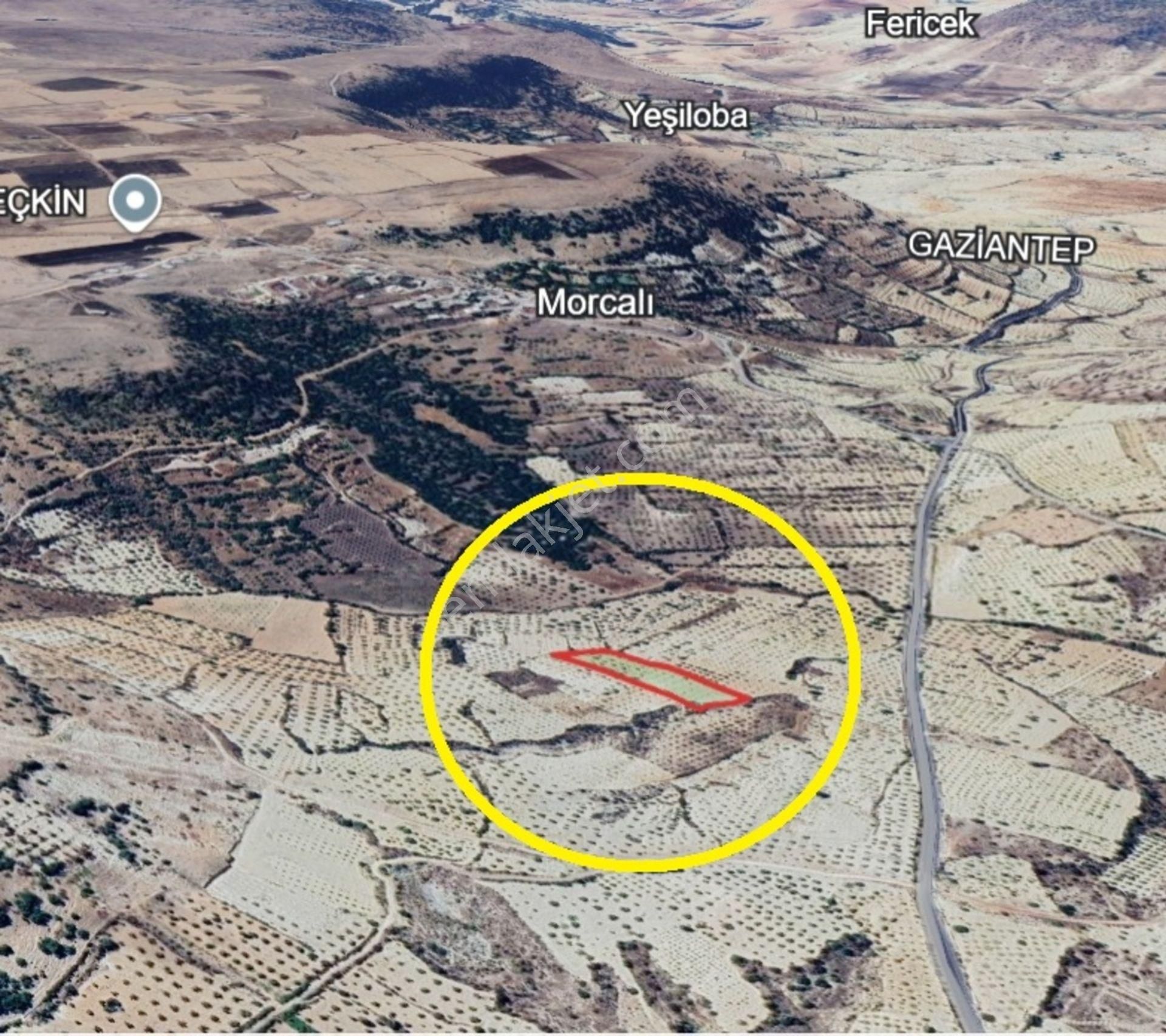 Şahinbey Morcalı Da Çok Uygun 5.350 M2 Tek Tapu Zeytinlik - Görsel 12