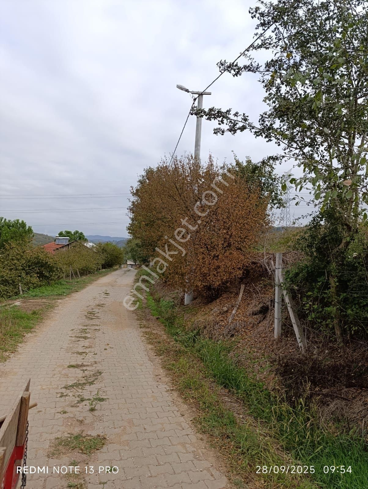 Sakarya Hendekte Fındık Bahçesi - Görsel 8