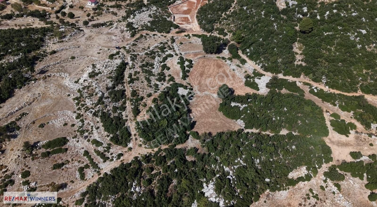 Fethiye Karaağaç Deniz Ve Doğa Manzaralı Satılık Tarla - Görsel 3