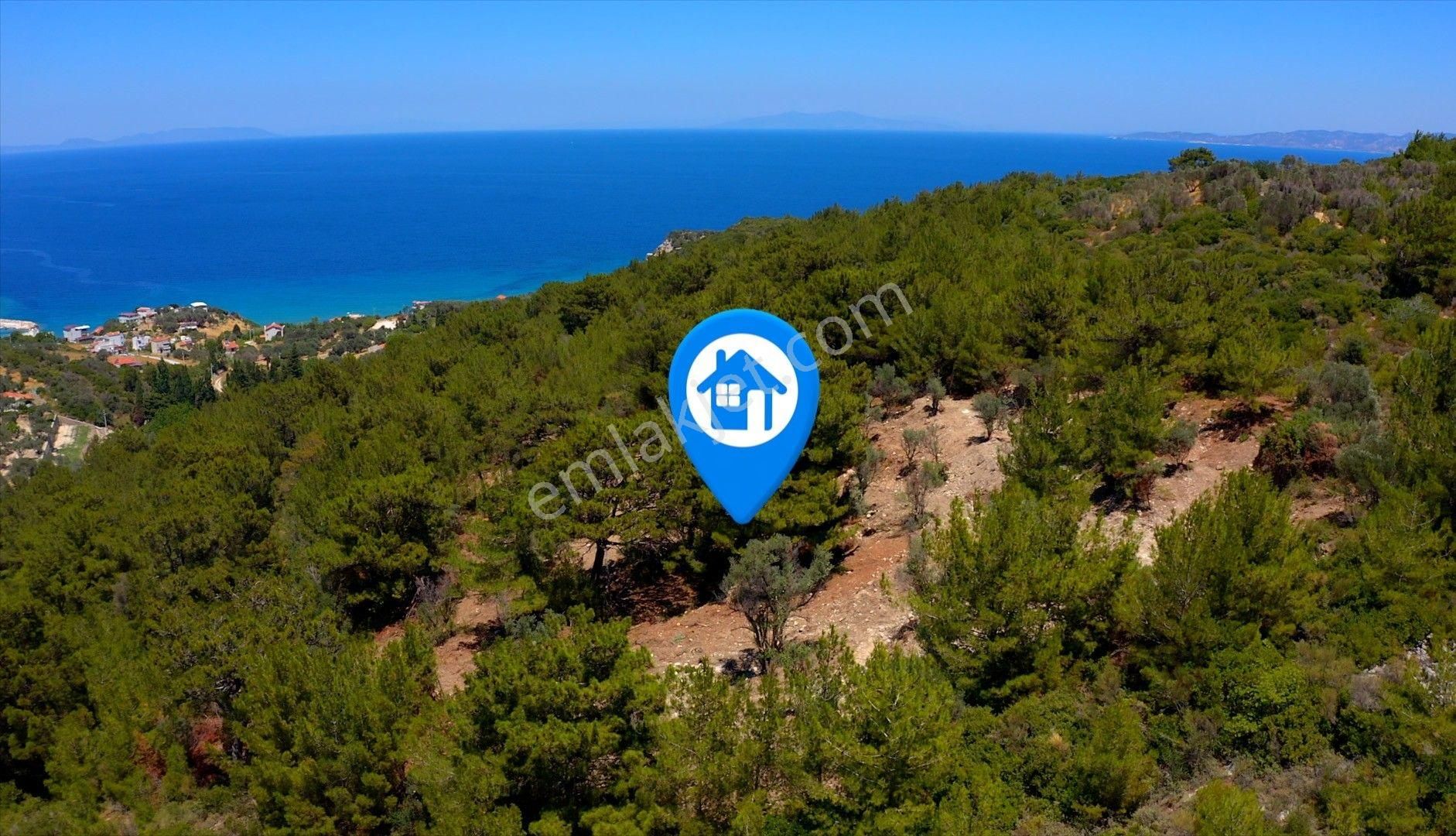 Karaburun Eşendere'de Sahile Çok Yakın Deniz Manzaralı Tarla - Görsel 8