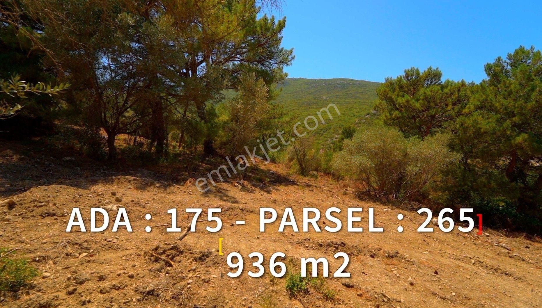 Karaburun Eşendere'de Sahile Çok Yakın Deniz Manzaralı Tarla - Görsel 2