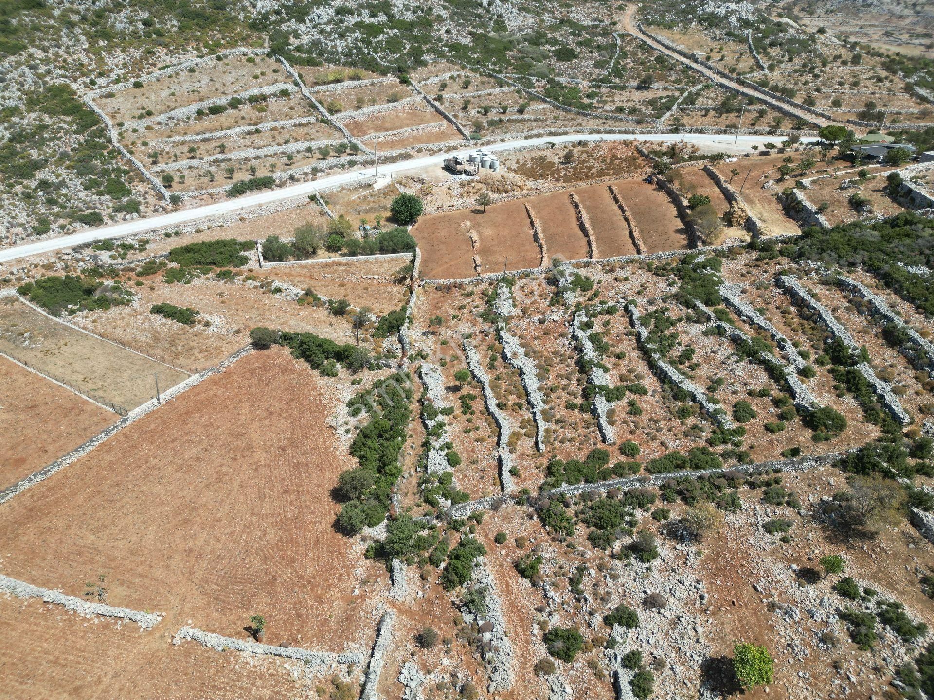 Joker: Marmaris Taşlıca Tapuya Kayıtlı Ahırı Ve Su Deposu Olan Tarla - Görsel 6