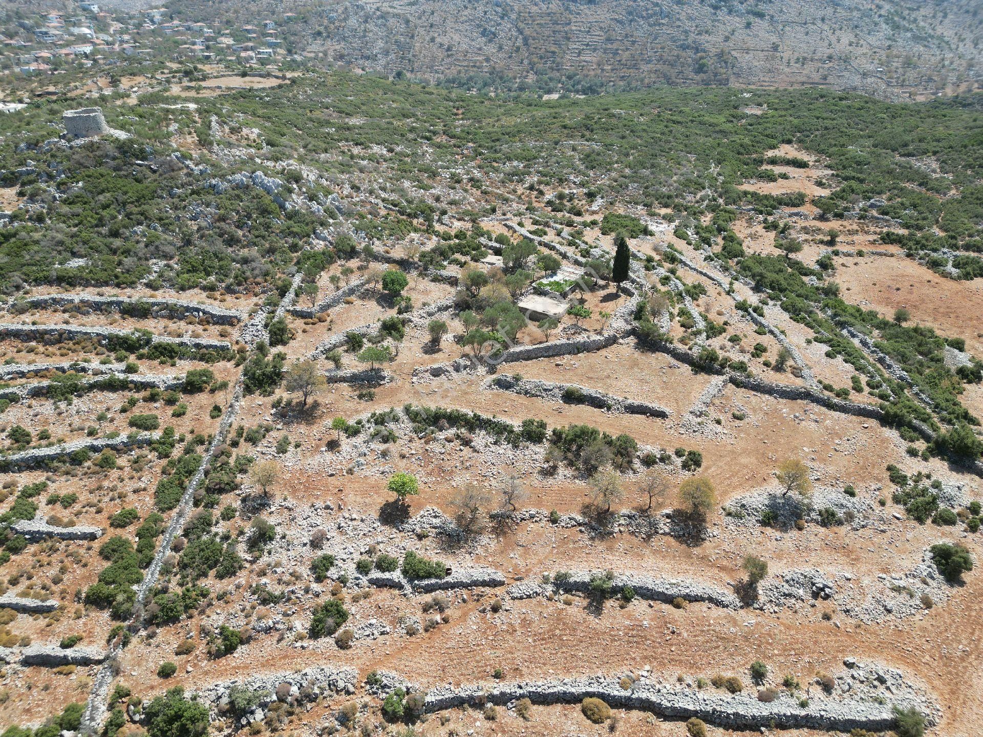 Joker: Marmaris Taşlıca Tapuya Kayıtlı Ahırı Ve Su Deposu Olan Tarla - Görsel 5