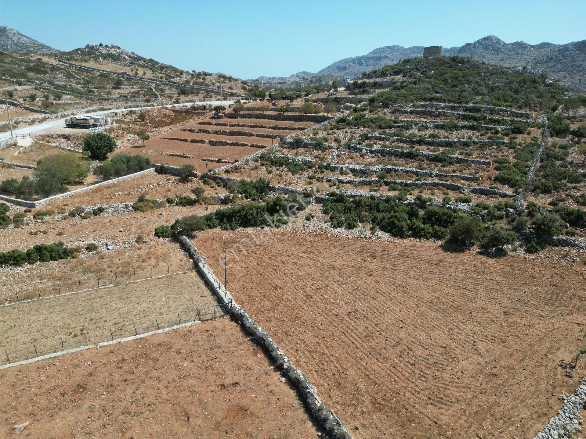 Joker: Marmaris Taşlıca Tapuya Kayıtlı Ahırı Ve Su Deposu Olan Tarla - Görsel 9