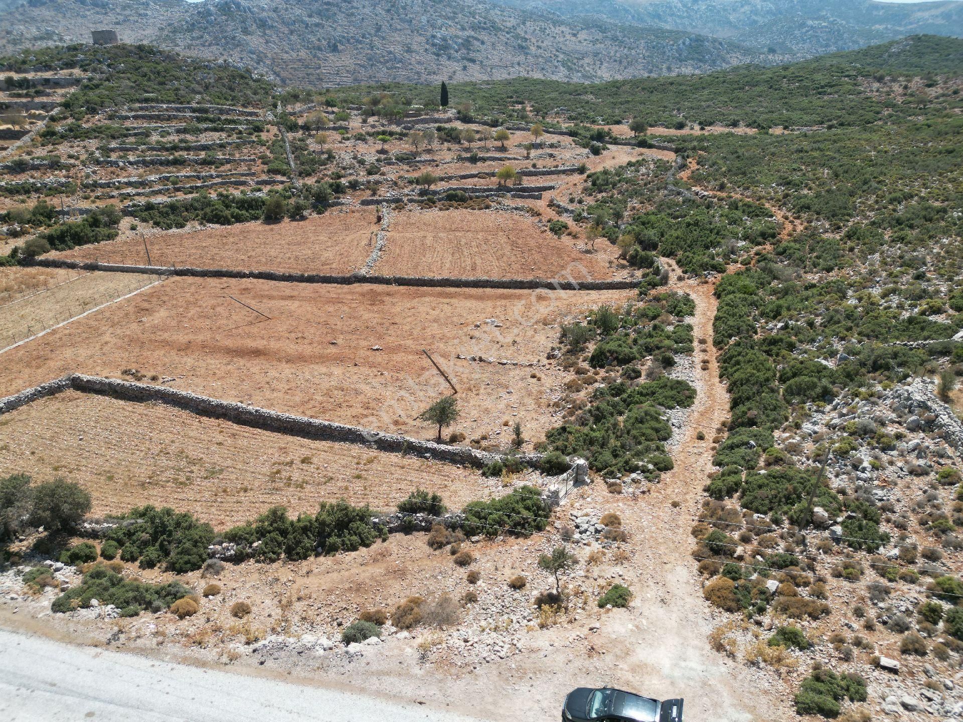 Joker: Marmaris Taşlıca Tapuya Kayıtlı Ahırı Ve Su Deposu Olan Tarla - Görsel 3