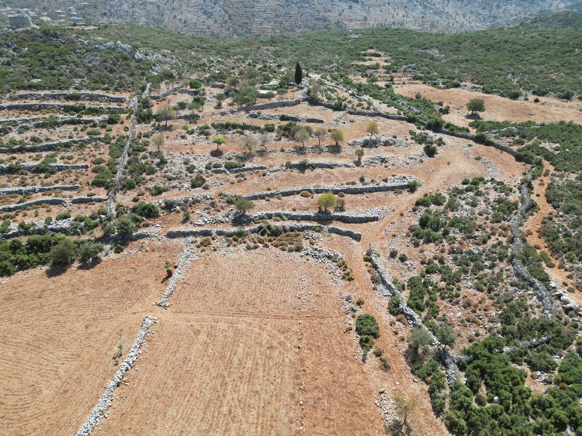 Joker: Marmaris Taşlıca Tapuya Kayıtlı Ahırı Ve Su Deposu Olan Tarla - Görsel 10