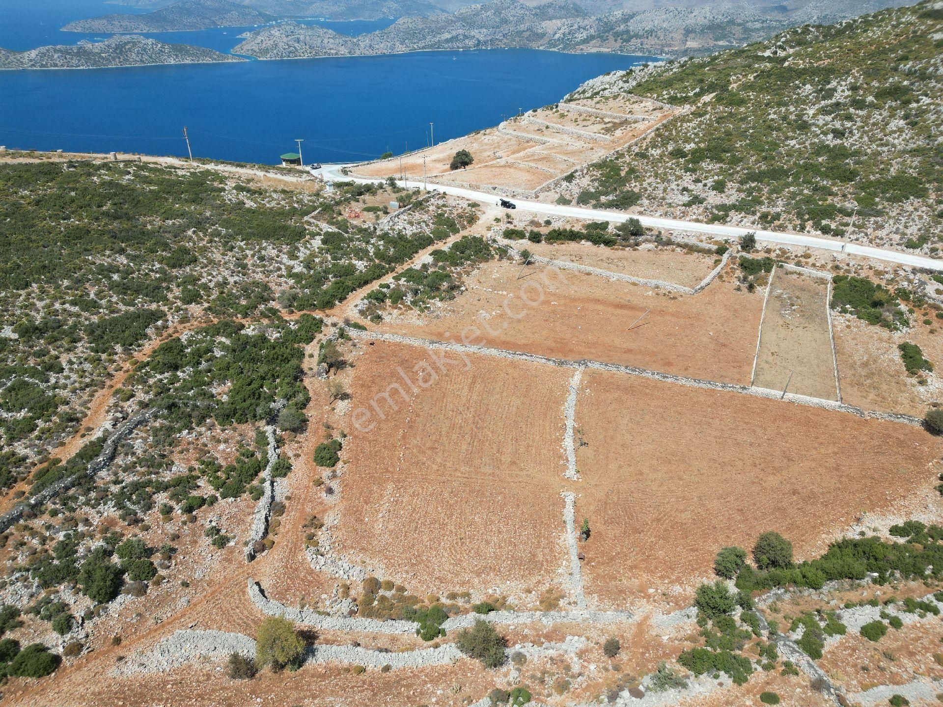 Joker: Marmaris Taşlıca Tapuya Kayıtlı Ahırı Ve Su Deposu Olan Tarla - Görsel 7