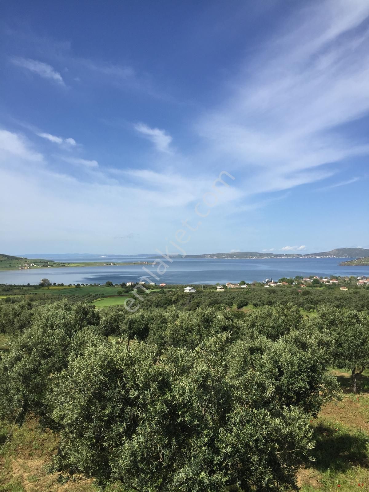 Se&as Exclusıve: Paşalimanı Adasında Yatırımlık Fırsat Arazi Ve Zeytinlik! - Görsel 11