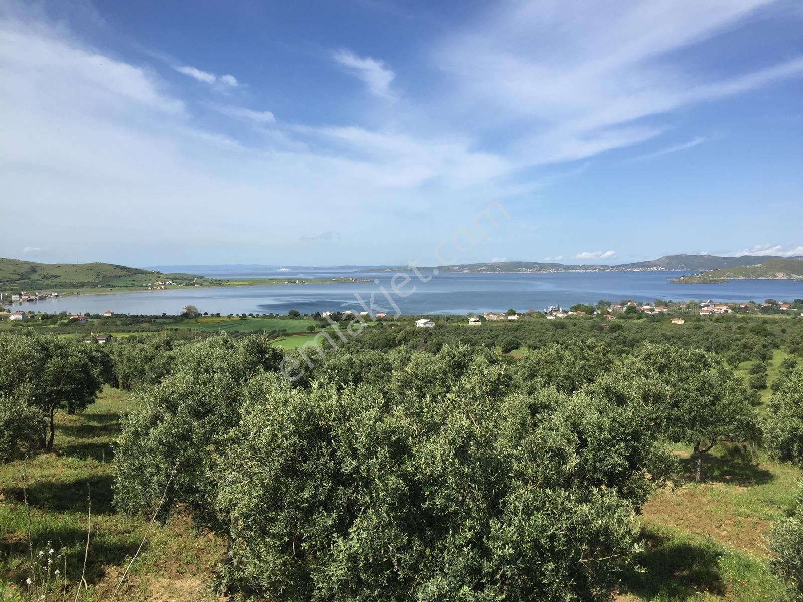 Se&as Exclusıve: Paşalimanı Adasında Yatırımlık Fırsat Arazi Ve Zeytinlik! - Görsel 10
