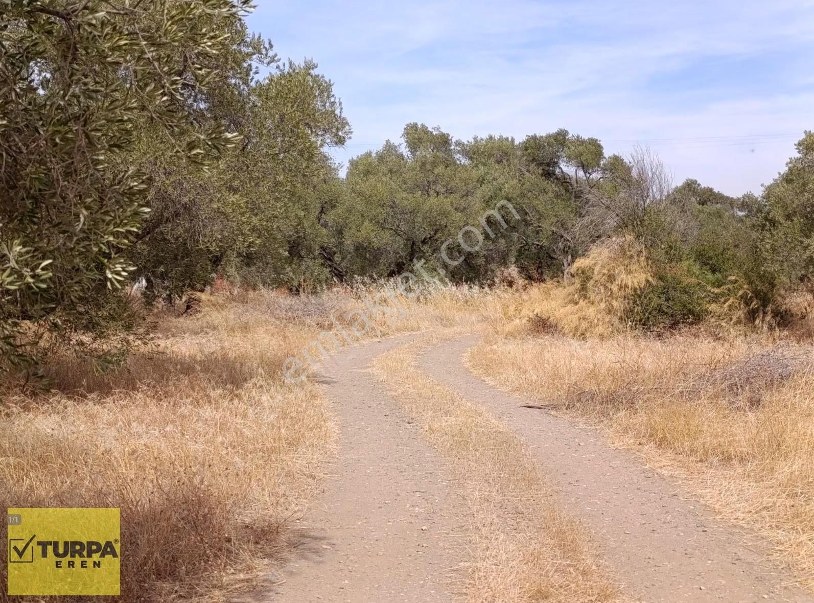 Torbalı Karakuyu Satılık Müstakil Tapulu Tarla - Görsel 6