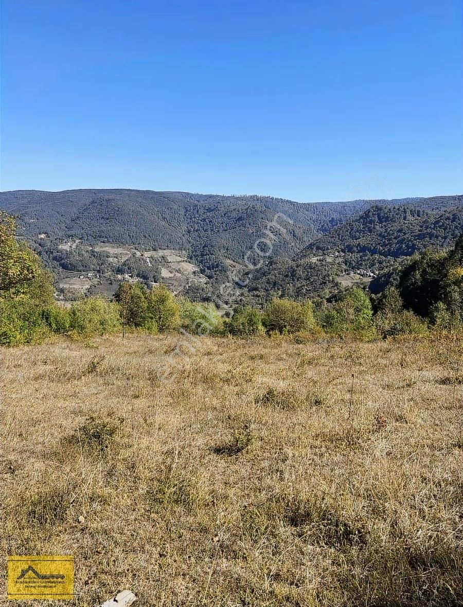 Ruşen Aydın Gyd'dan Kaynaşlı Yeniyurt'ta Satılık İmarlı Arsalar - Görsel 6