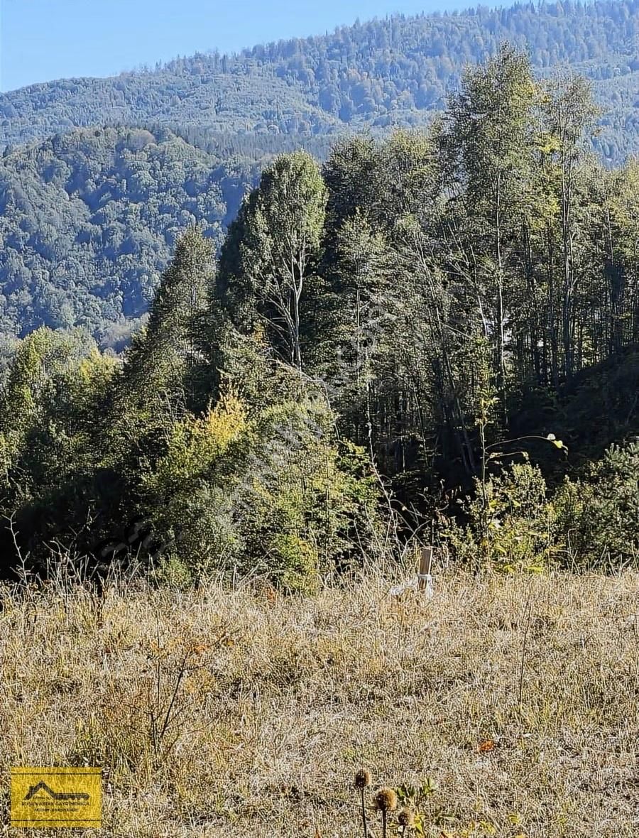 Ruşen Aydın Gyd'dan Kaynaşlı Yeniyurt'ta Satılık İmarlı Arsalar - Görsel 7