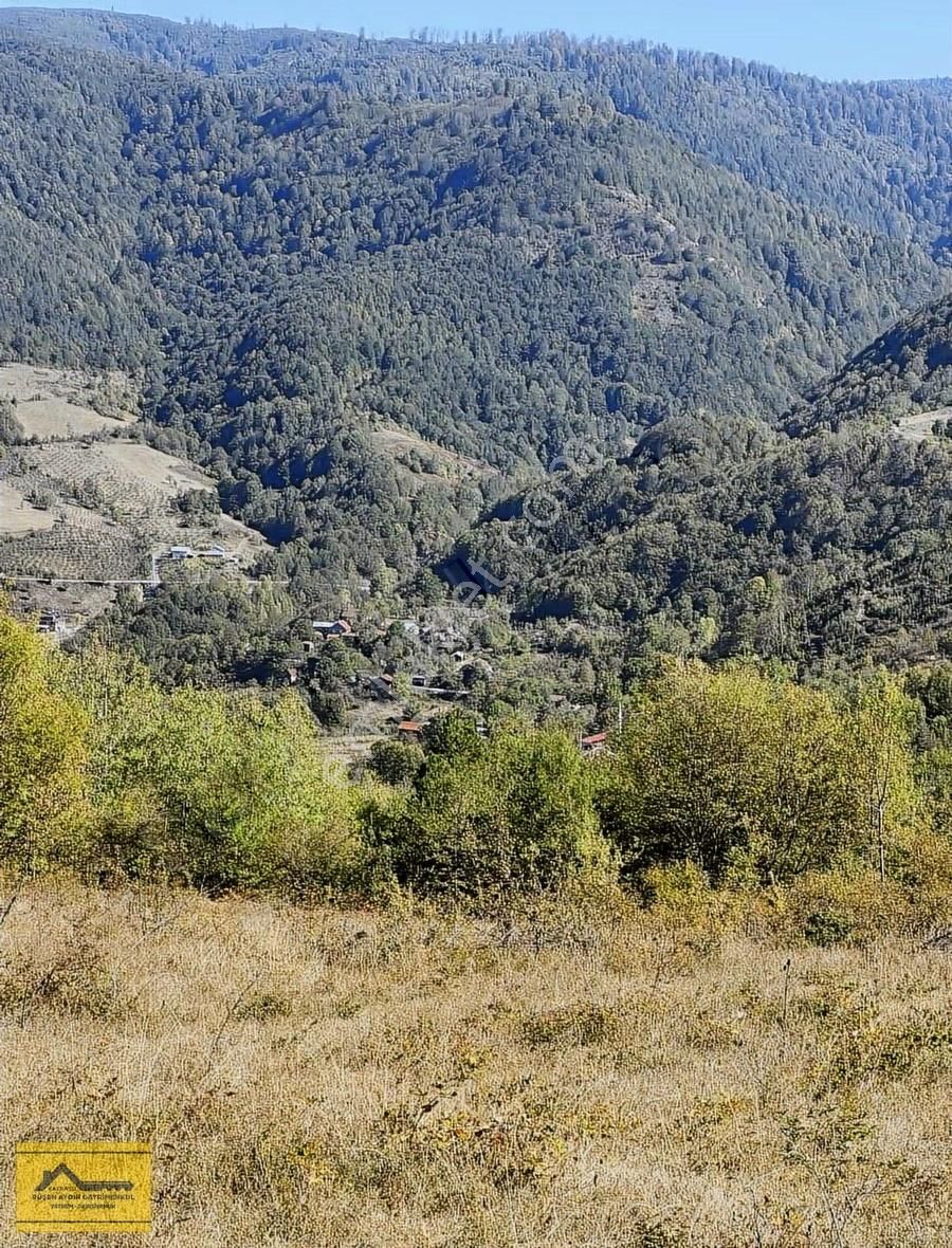 Ruşen Aydın Gyd'dan Kaynaşlı Yeniyurt'ta Satılık İmarlı Arsalar - Görsel 9