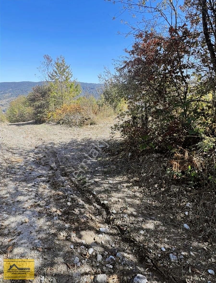 Ruşen Aydın Gyd'dan Kaynaşlı Yeniyurt'ta Satılık İmarlı Arsalar - Görsel 8