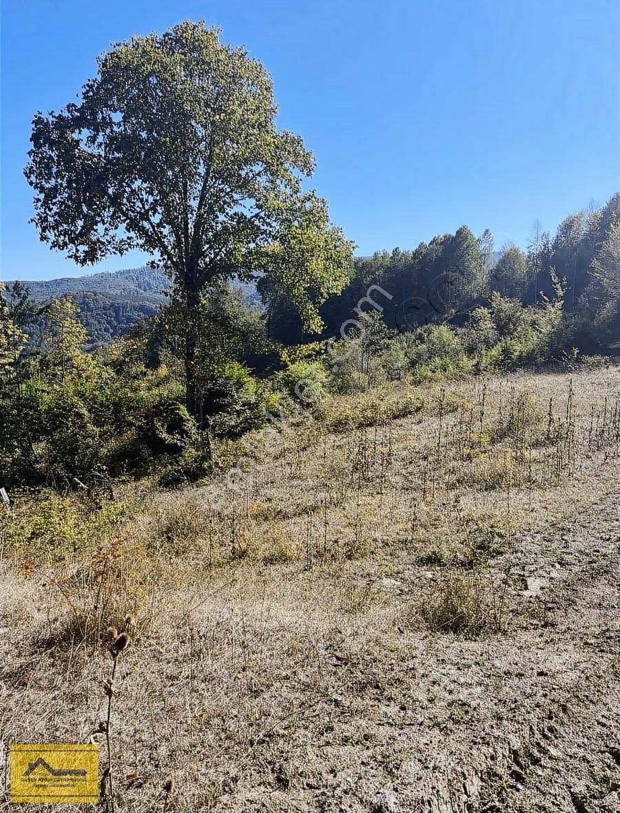 Ruşen Aydın Gyd'dan Kaynaşlı Yeniyurt'ta Satılık İmarlı Arsalar - Görsel 11