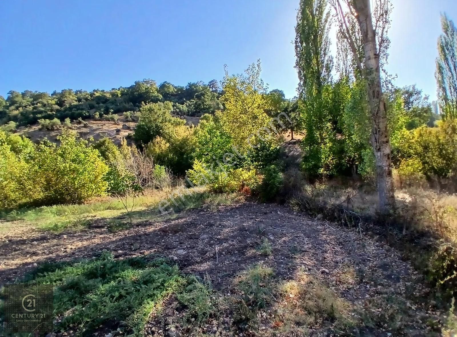 C21 Loca Balıkesir Sarıalan Otoyol Gişe Yakını 720m2hobi Bahçesi - Görsel 16