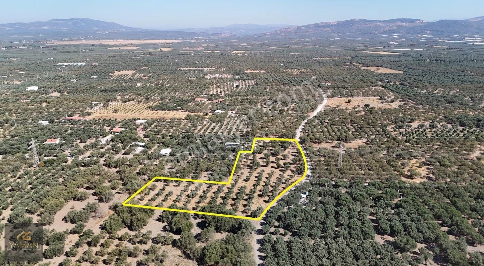Akhisar Efendi Mah. Karayer Mevkii 7.246 M² Tek Tapulu Zeytinlik - Görsel 35
