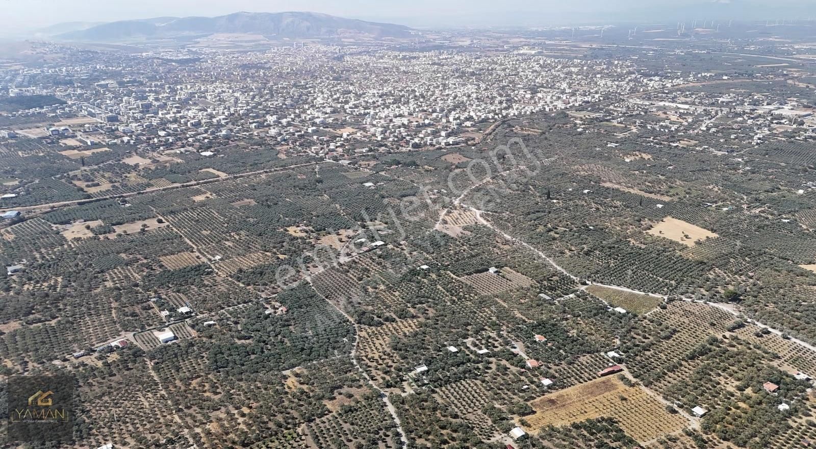 Akhisar Efendi Mah. Karayer Mevkii 7.246 M² Tek Tapulu Zeytinlik - Görsel 8