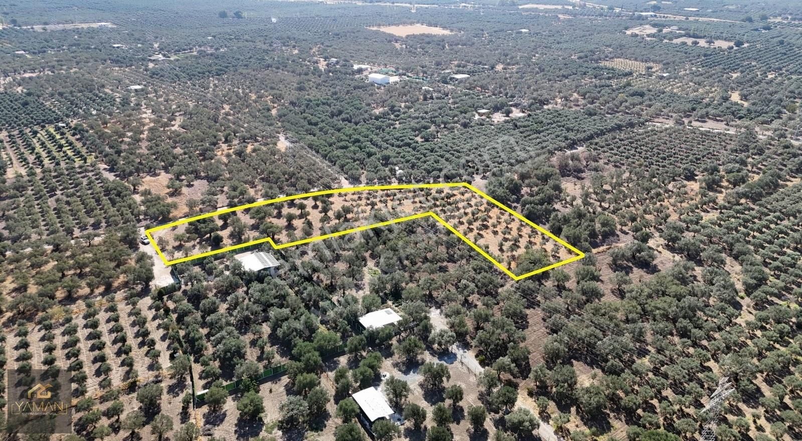 Akhisar Efendi Mah. Karayer Mevkii 7.246 M² Tek Tapulu Zeytinlik - Görsel 28