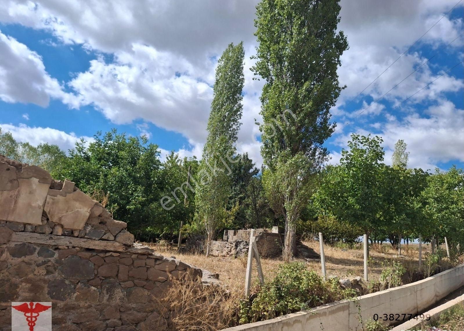 Klass Emlaktan Merzifon Karatepe Köyünde Satılık Değirmen Yeri Ve Bahçesi - Görsel 14