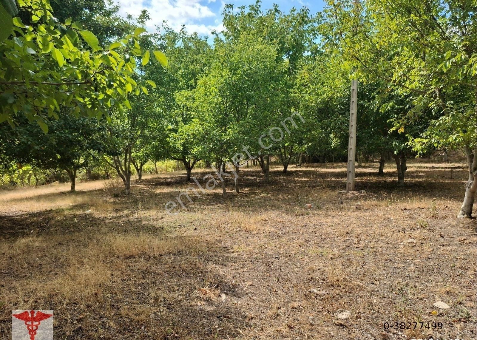 Klass Emlaktan Merzifon Karatepe Köyünde Satılık Değirmen Yeri Ve Bahçesi - Görsel 7