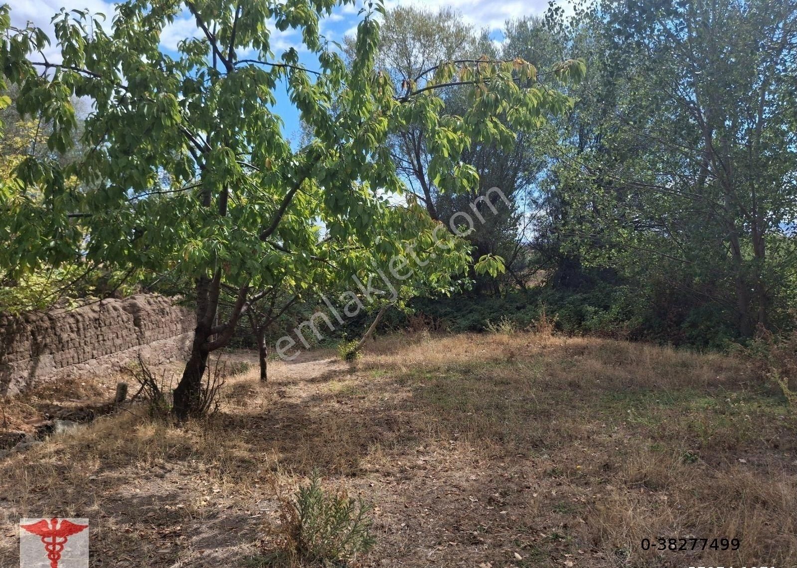 Klass Emlaktan Merzifon Karatepe Köyünde Satılık Değirmen Yeri Ve Bahçesi - Görsel 6