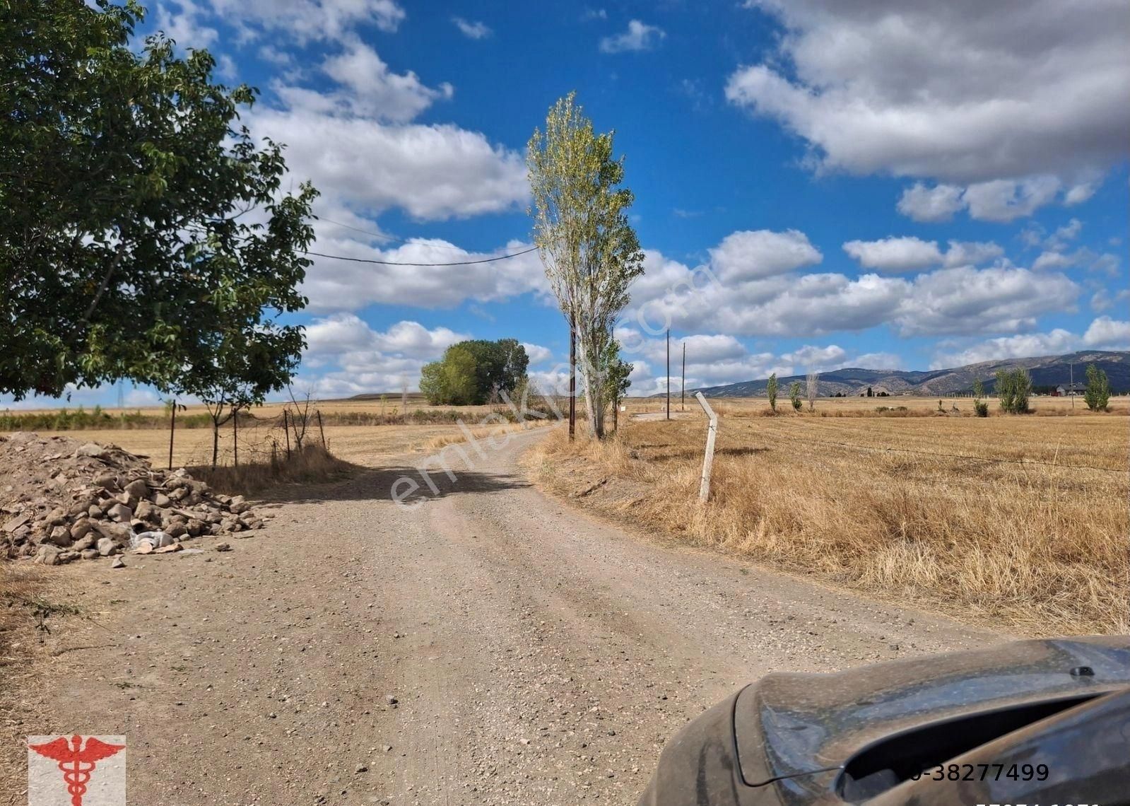 Klass Emlaktan Merzifon Karatepe Köyünde Satılık Değirmen Yeri Ve Bahçesi - Görsel 2