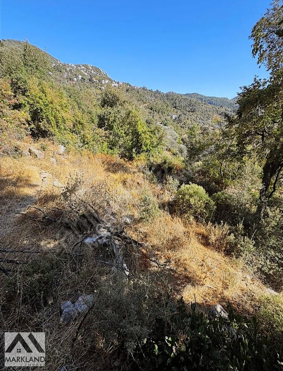 Alanya Mahmutseydi Mahallesi Satılık Tarla - Görsel 4