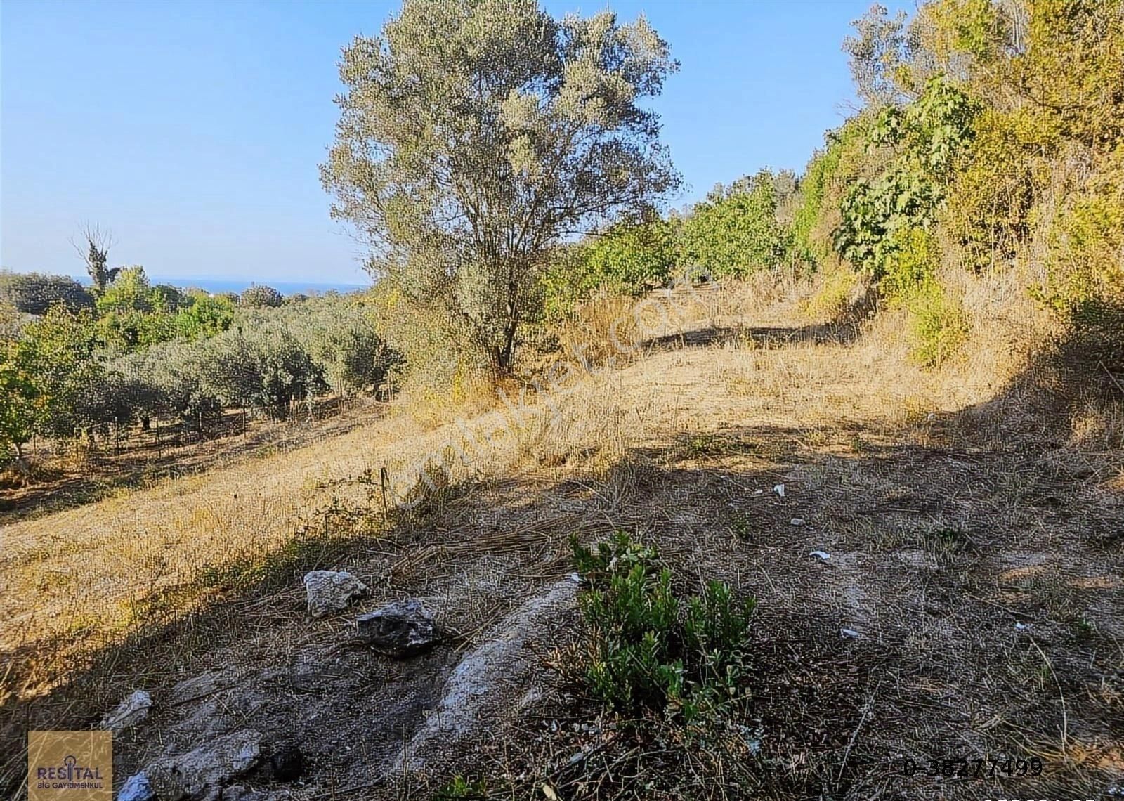Mudanya Esence De Satılk 1300 M2 Yol Kenarı Bahçe Resital Big De - Görsel 28