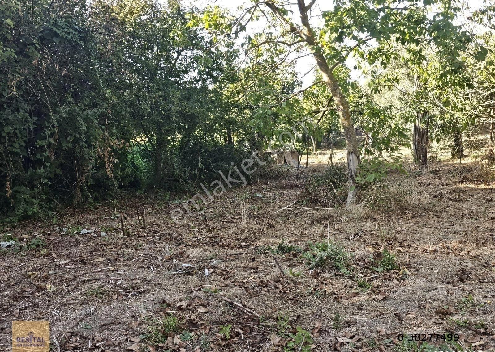 Mudanya Esence De Satılk 1300 M2 Yol Kenarı Bahçe Resital Big De - Görsel 3